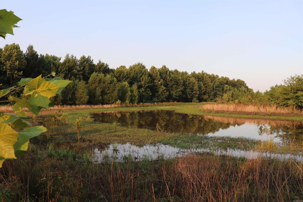 Picture 32