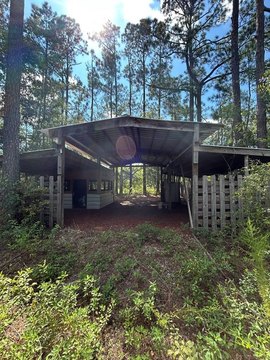 Wooded Lot Near Lake Seminole