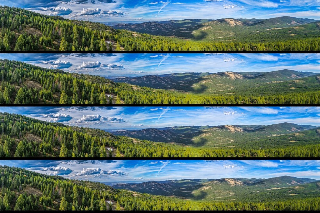 Picture 18