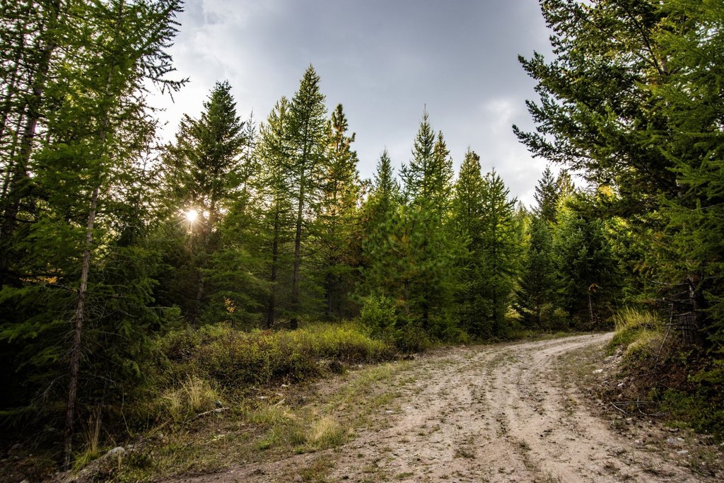 Picture 8