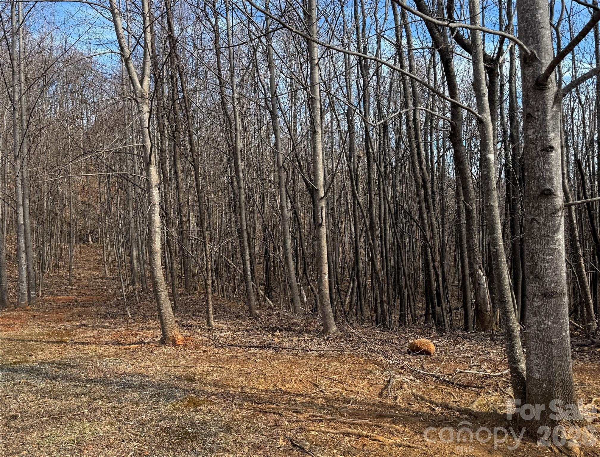 Bright's Creek Homesite with Waterfall