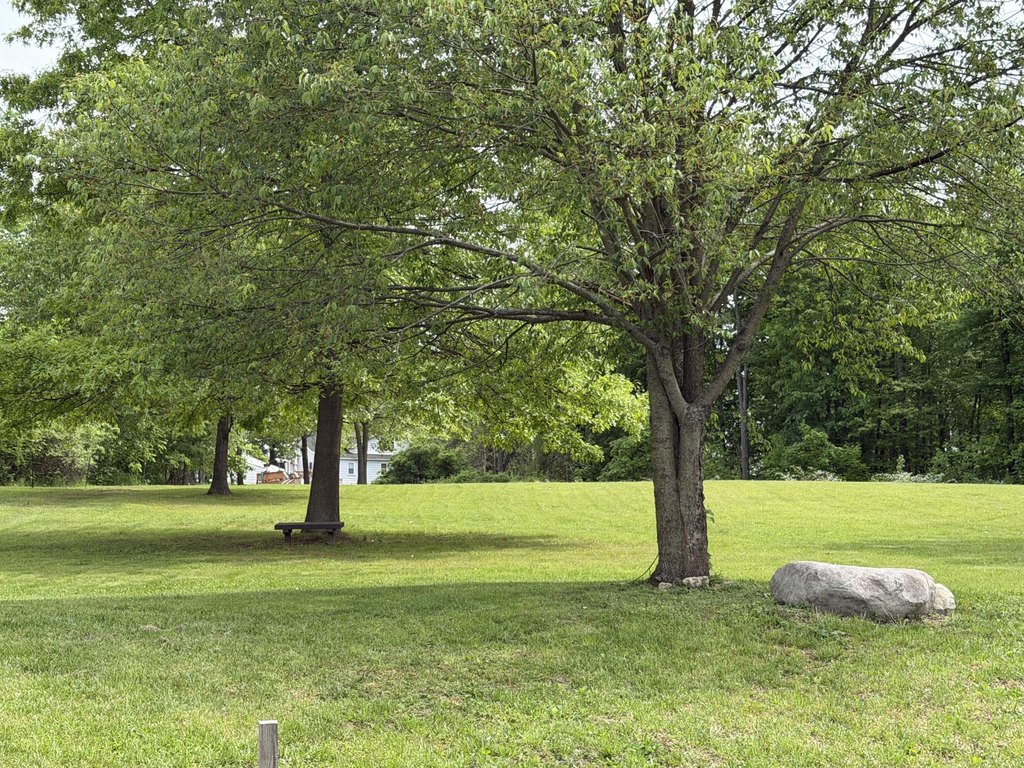 Picture 19
