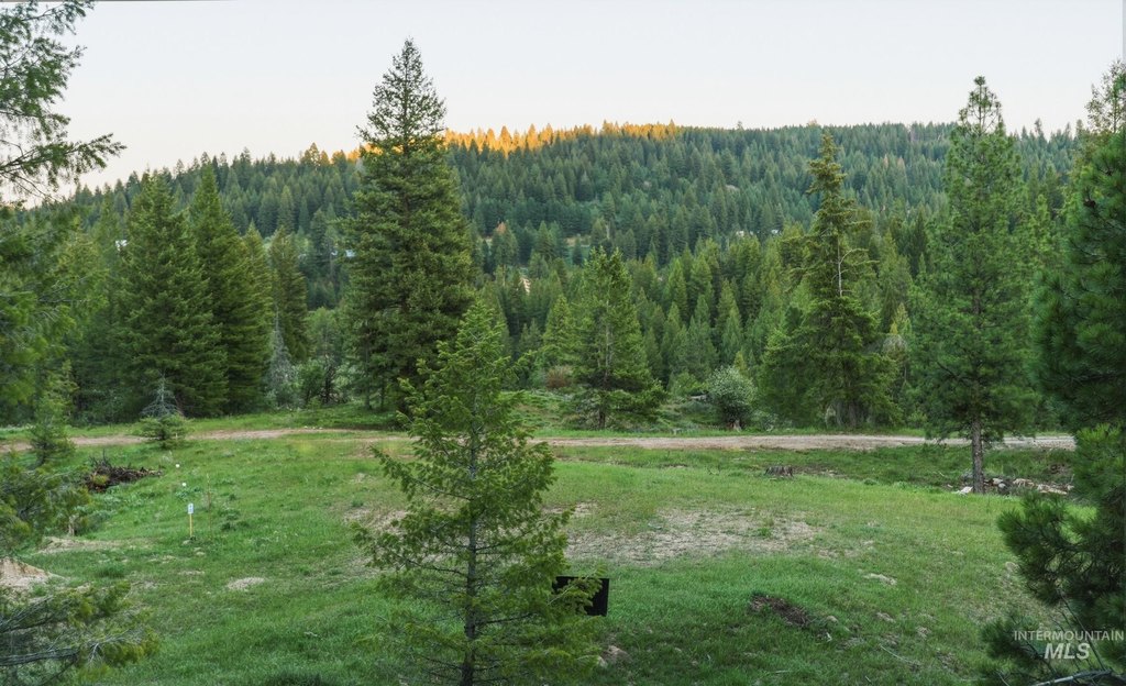 Picture 5