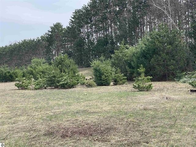 Picture 23