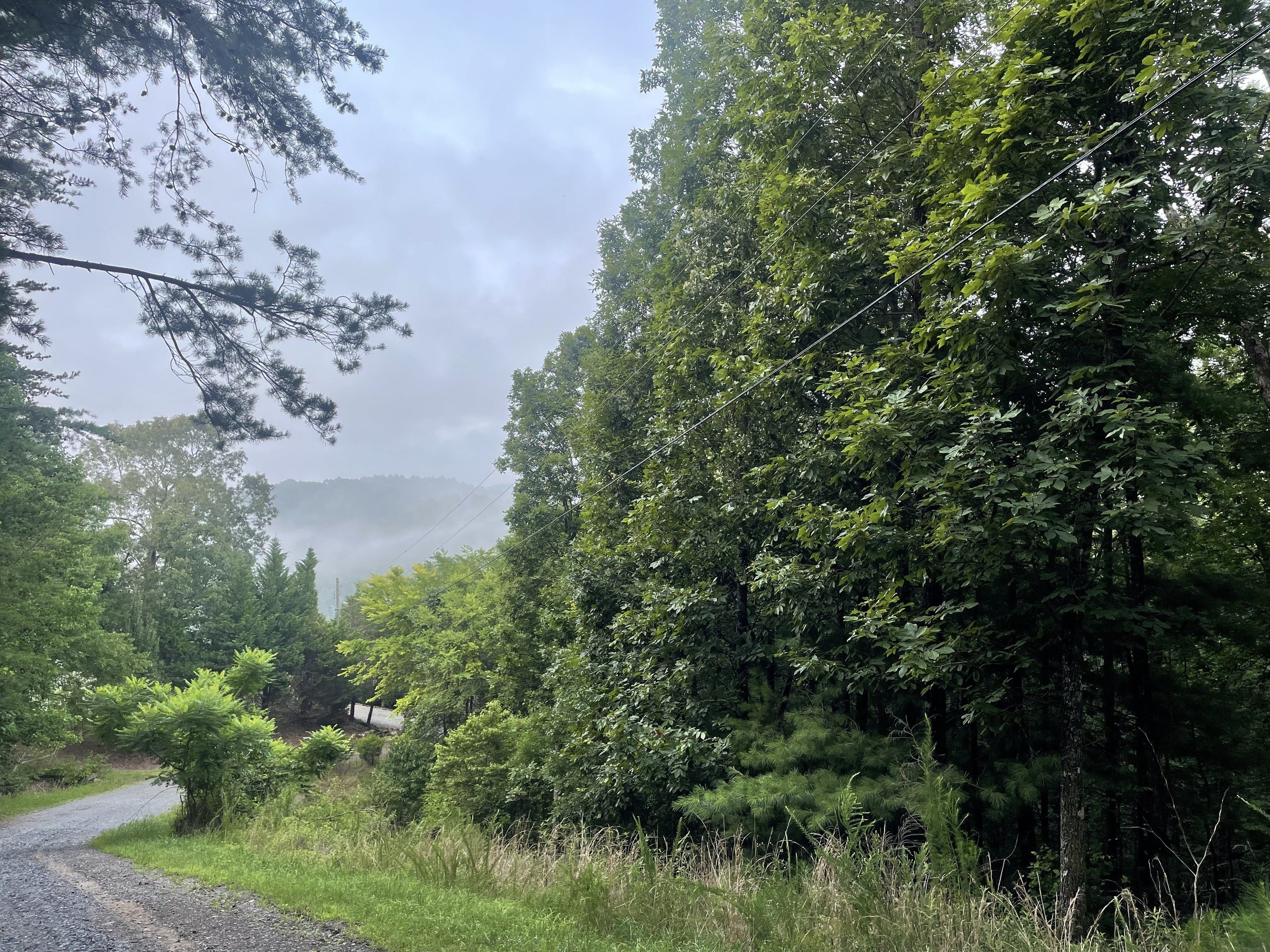 Ranger, GA Secluded Lot