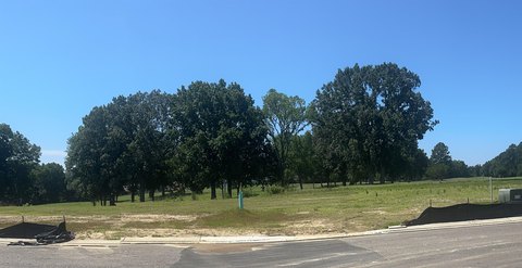 Golf Course Lots in Cordova