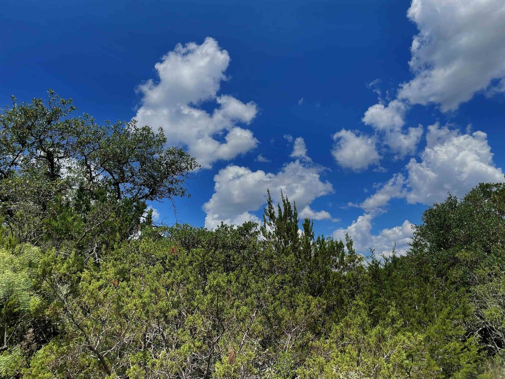 Picture 30