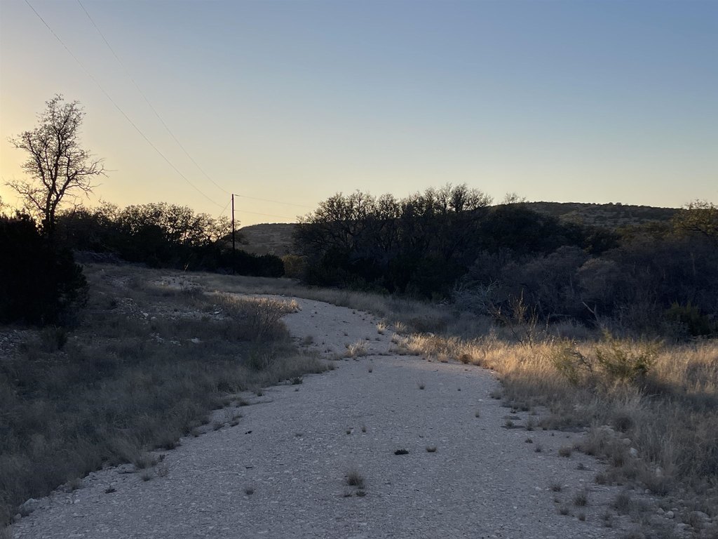Picture 45