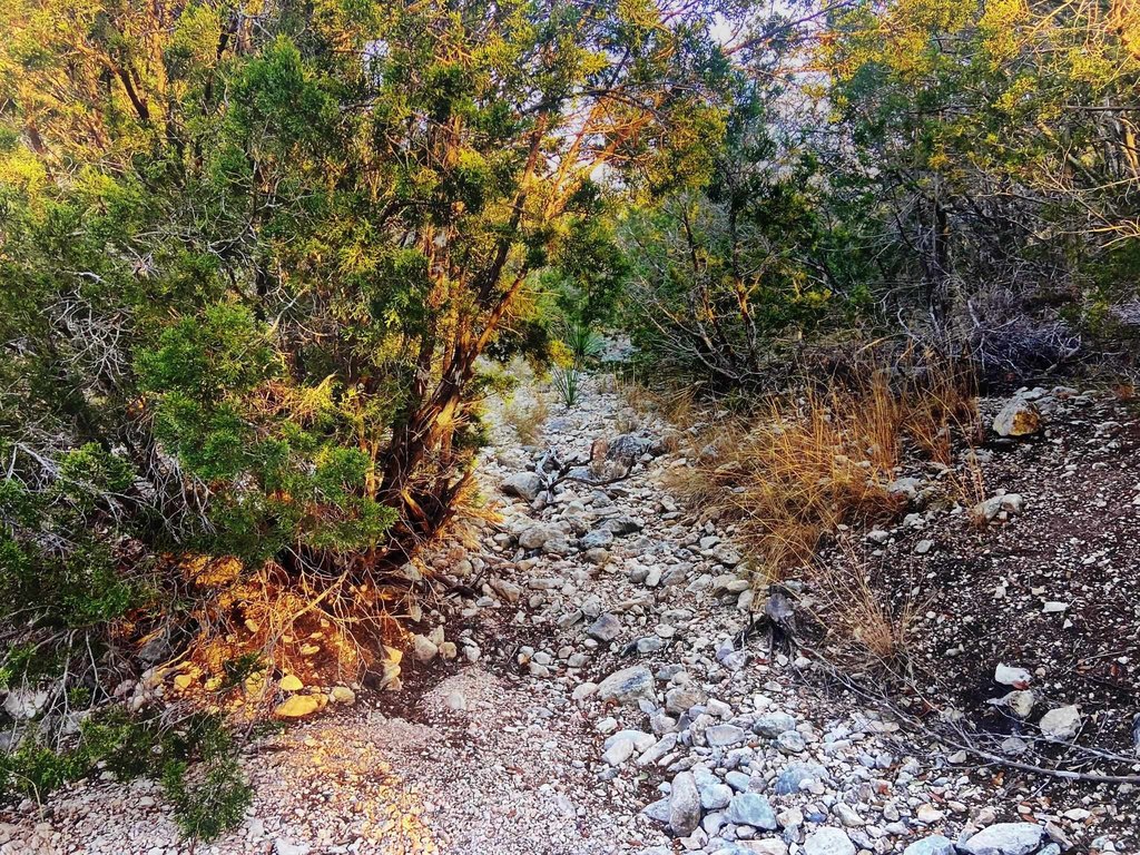 Picture 8