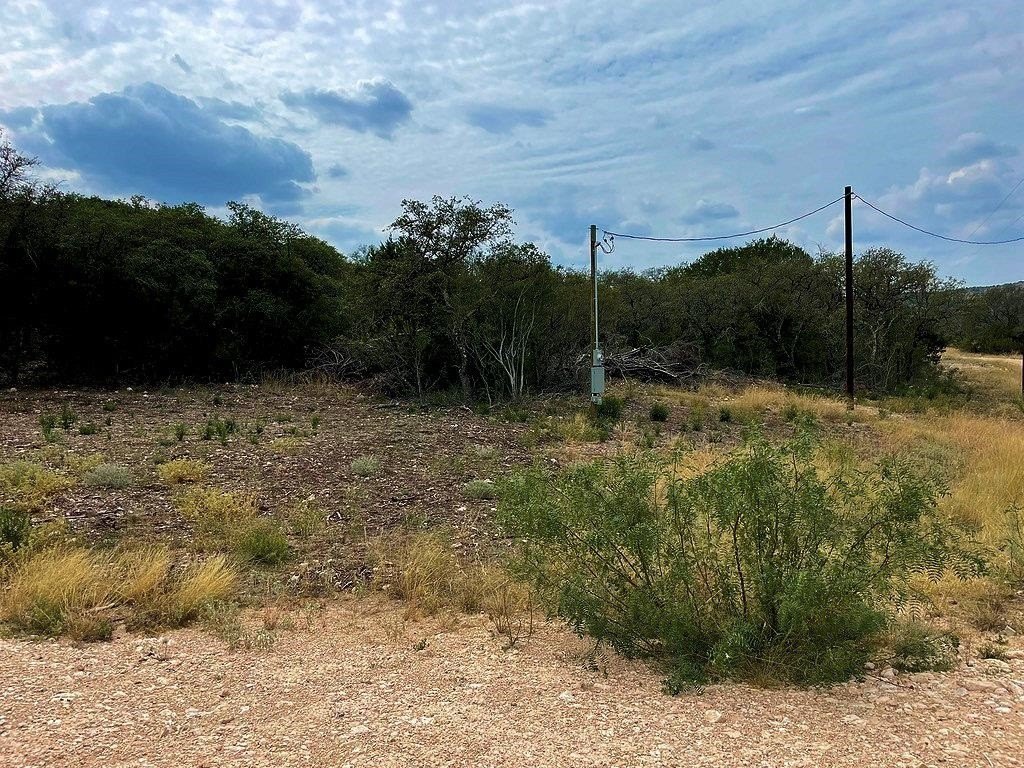 Picture 19