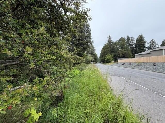 Picture 14