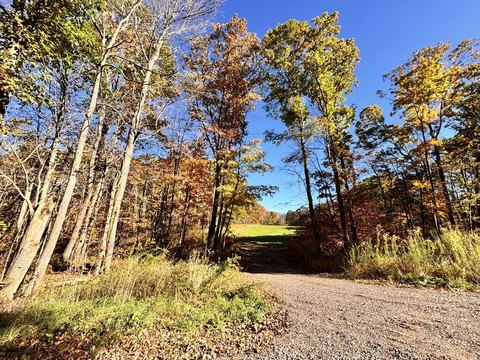 Lots/Land, Meyersdale, PA
