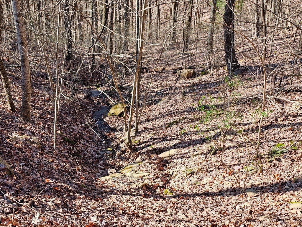 Picture 27