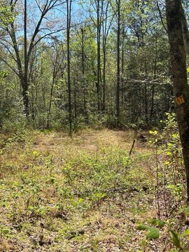 Whittier, NC Residential Land