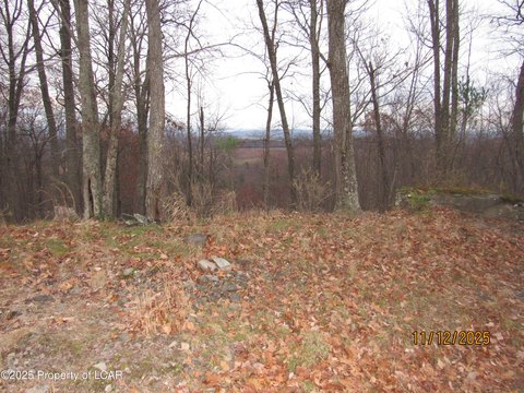 Vacant Land - Dallas, PA