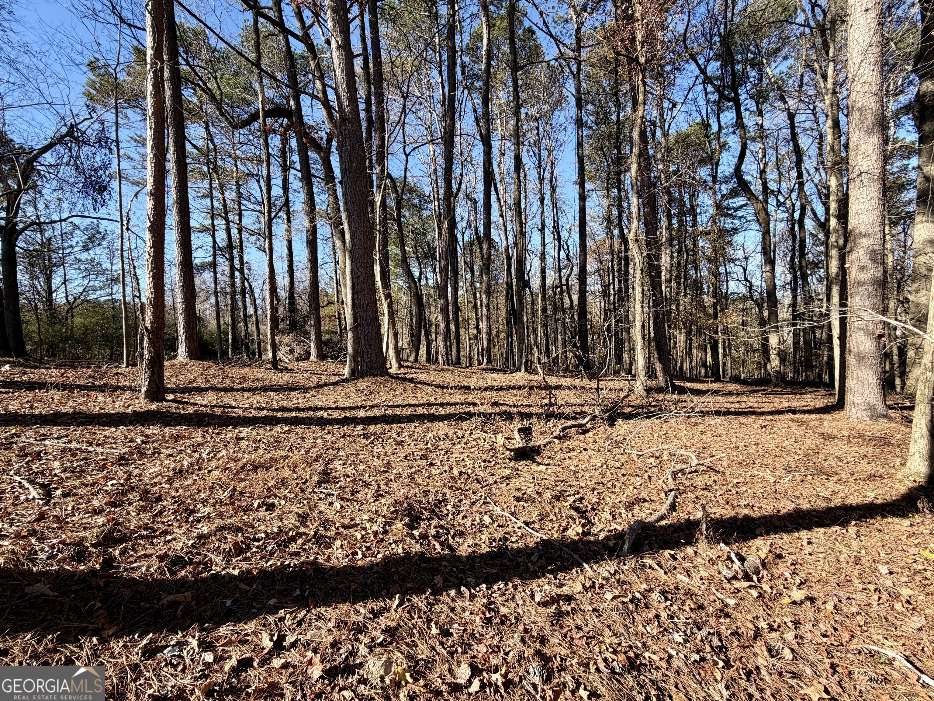 Residential Land in West Forsyth