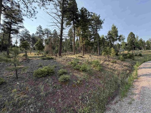 LAND - Angel Fire, NM