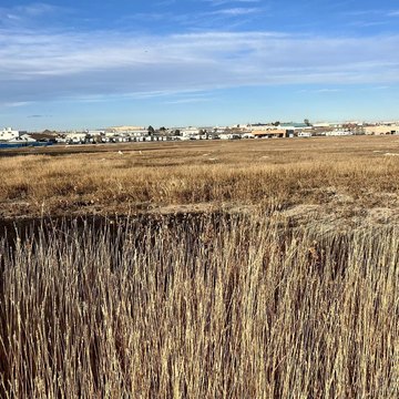 LAND - Pueblo West, CO