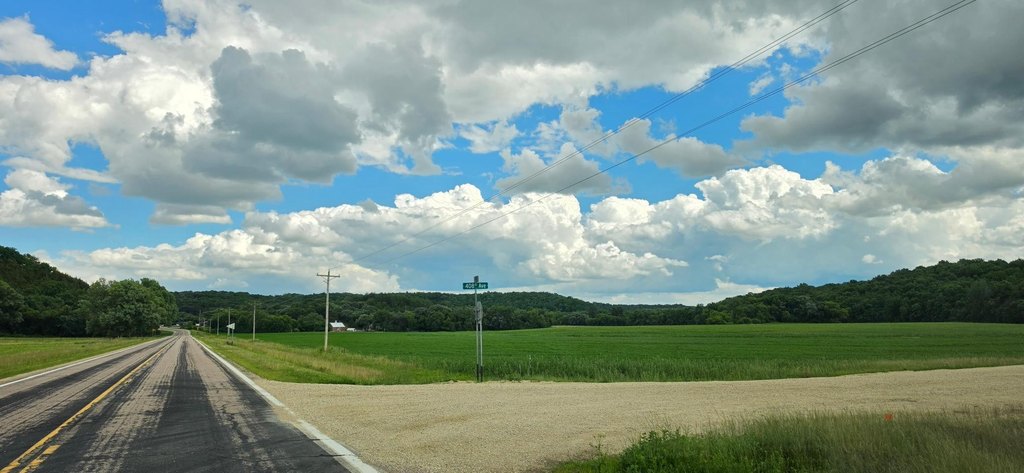 Picture 14