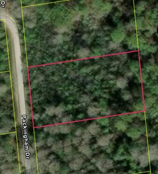 Wooded Lot in Ridge Manor