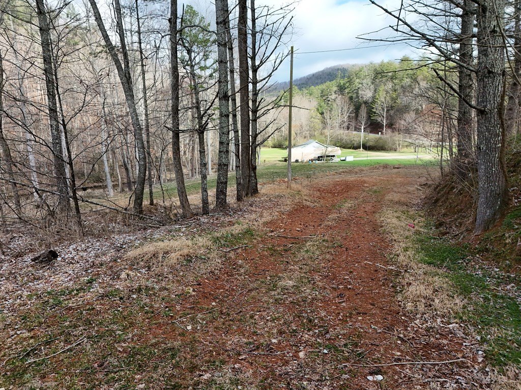 Picture 6