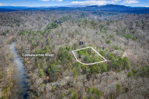 Ellijay Buildable Lot in Resort