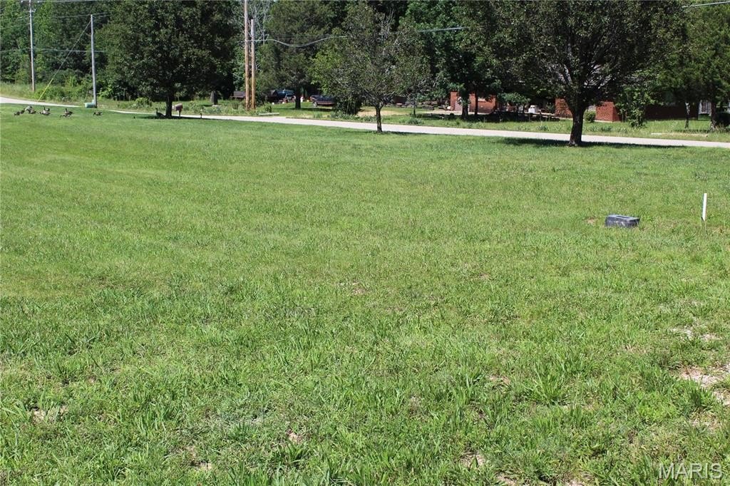 Picture 6