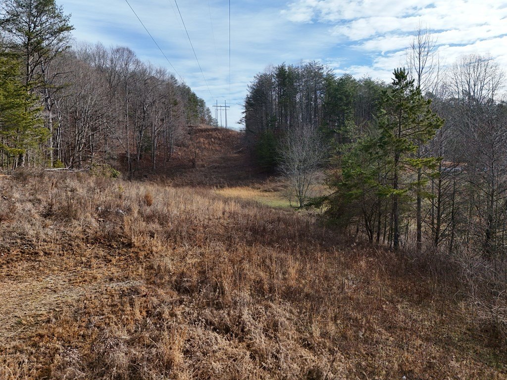 Picture 3