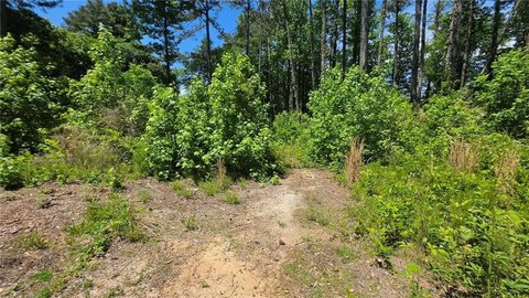 Residential Land in Austell, Georgia