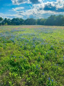 Rolling Acreage with Stock Pond