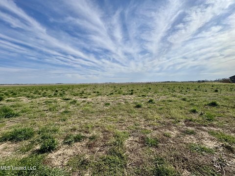 Residential Land in Cleveland, MS
