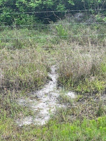 Picture 12