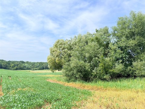 Land, St Croix Falls, WI