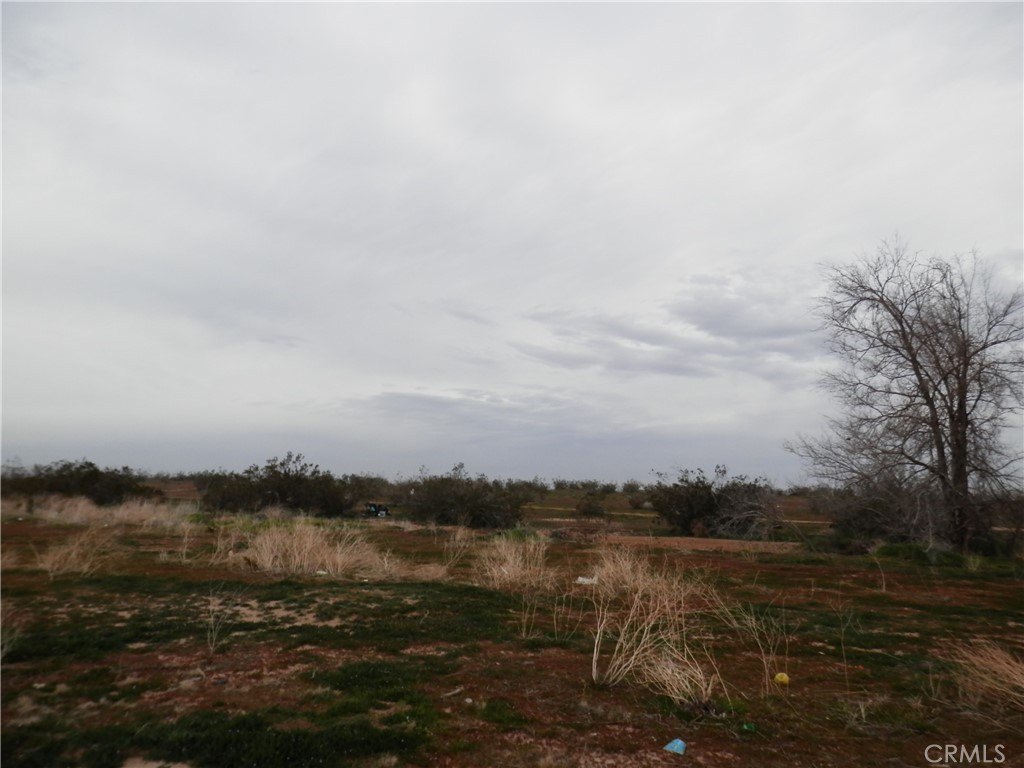 Picture 4