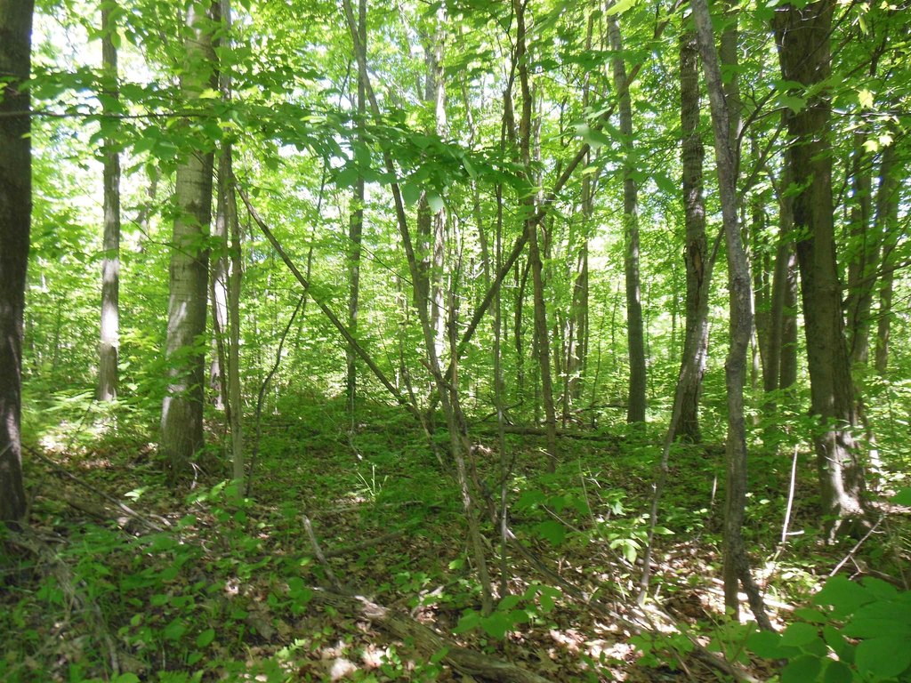 Picture 5