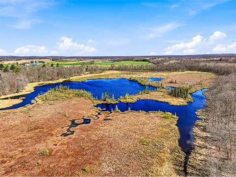 Heavily Wooded Land with Pond