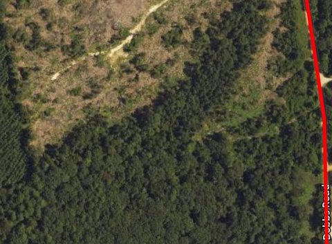 Garrison, TX Untouched Land Parcel