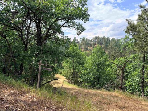 LAND - Spearfish, SD