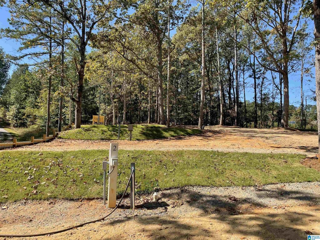 Picture 4