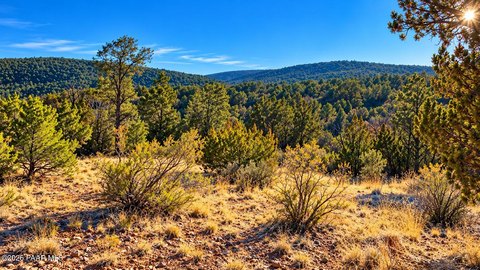Treed Recreation Land