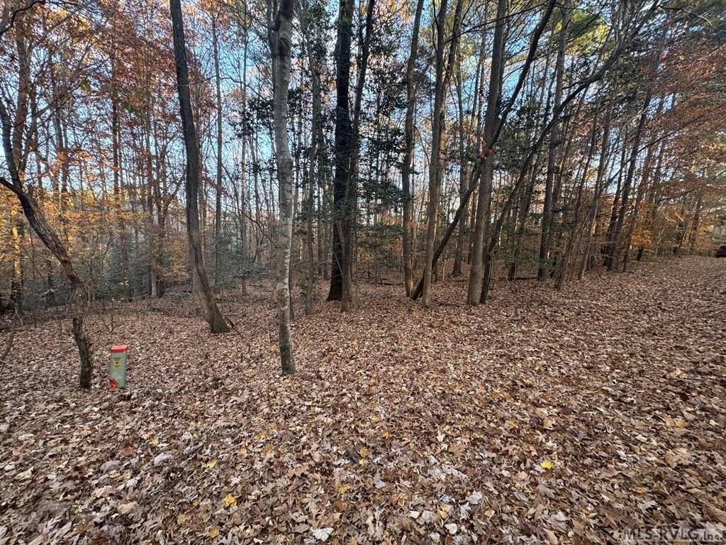 Picture 17