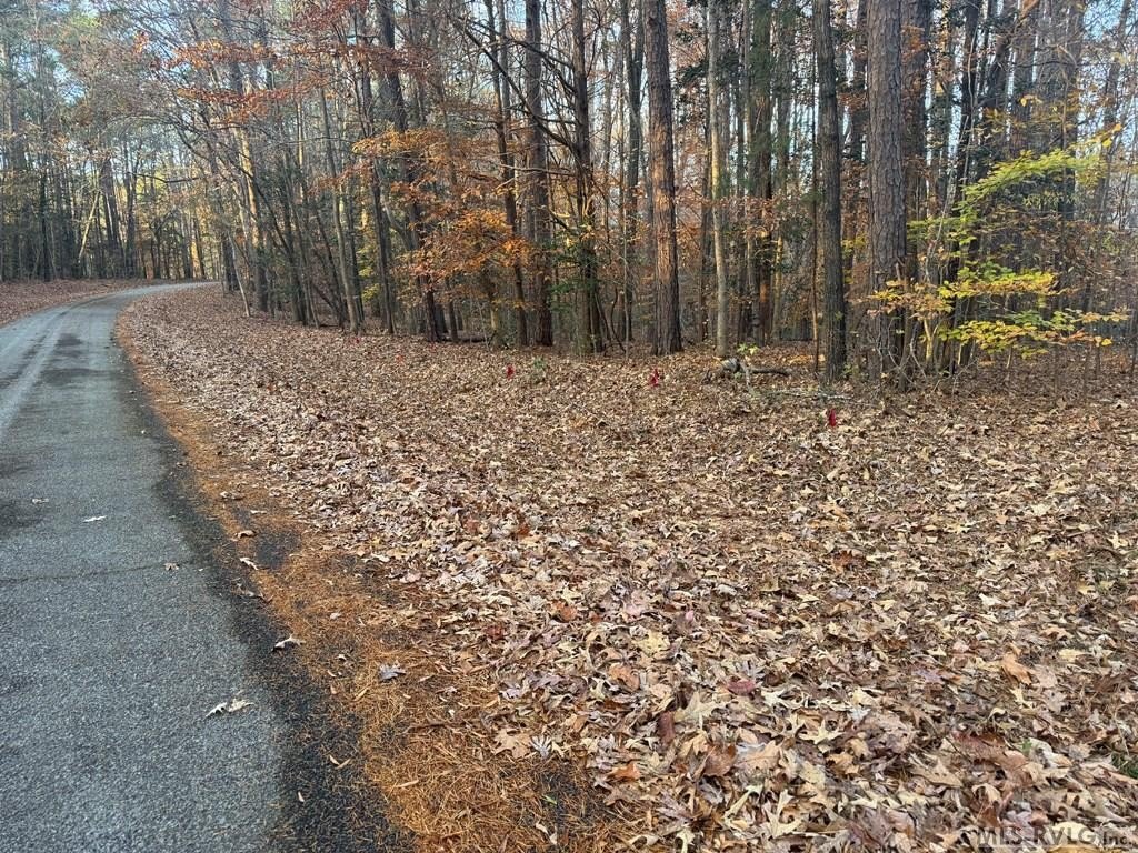 Picture 19