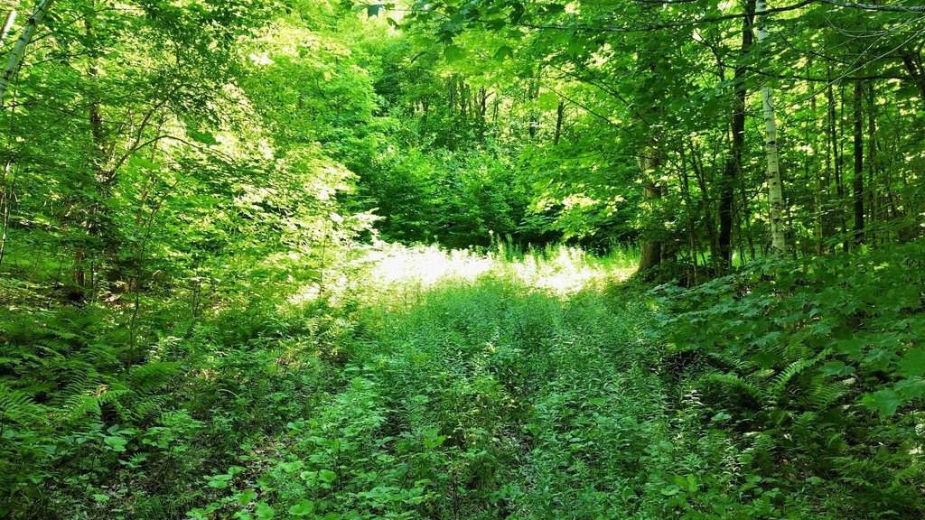 Picture 12