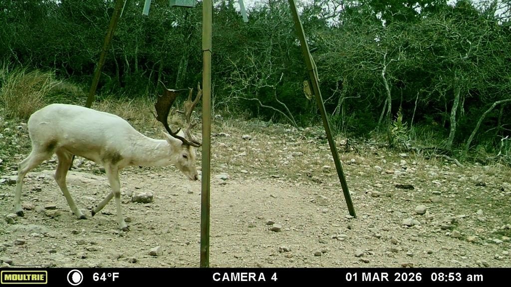 Picture 14