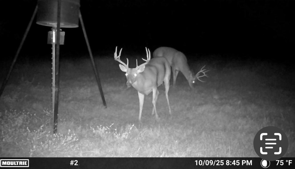 Picture 14