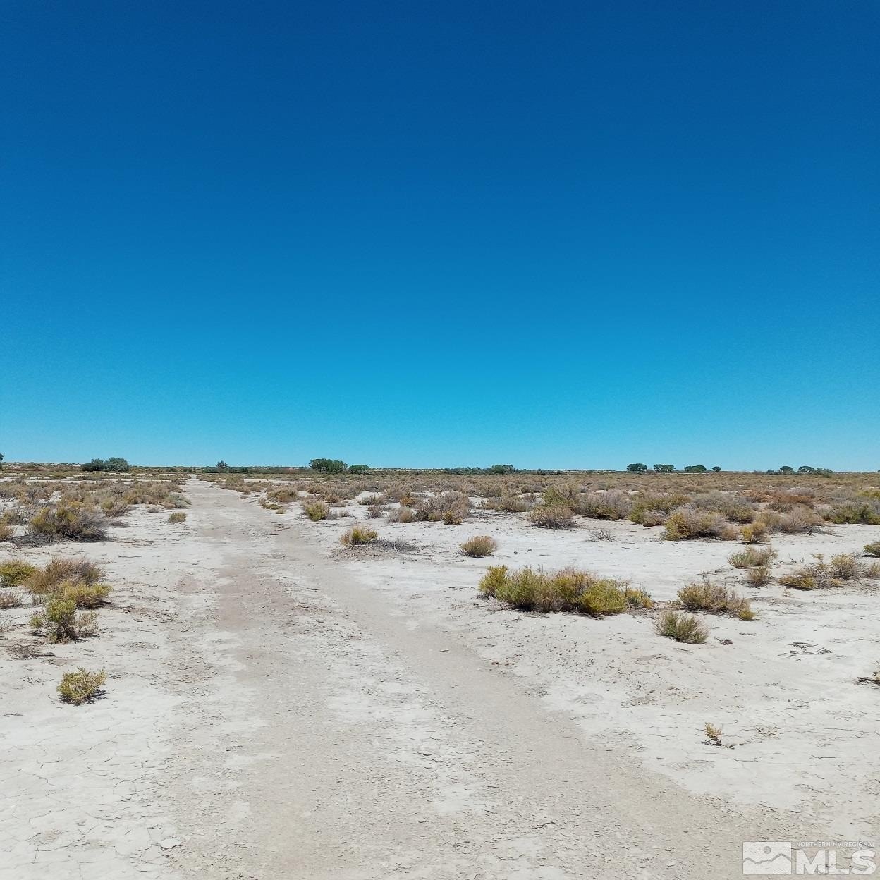 40 Acres in Fallon, NV