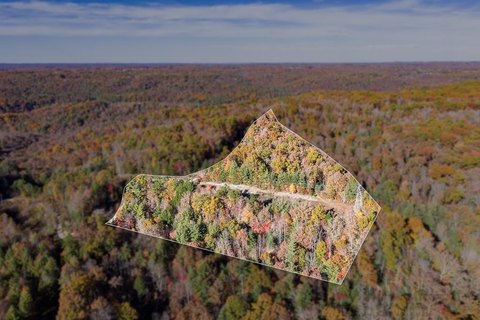 Wooded Acreage Near Scott Airport