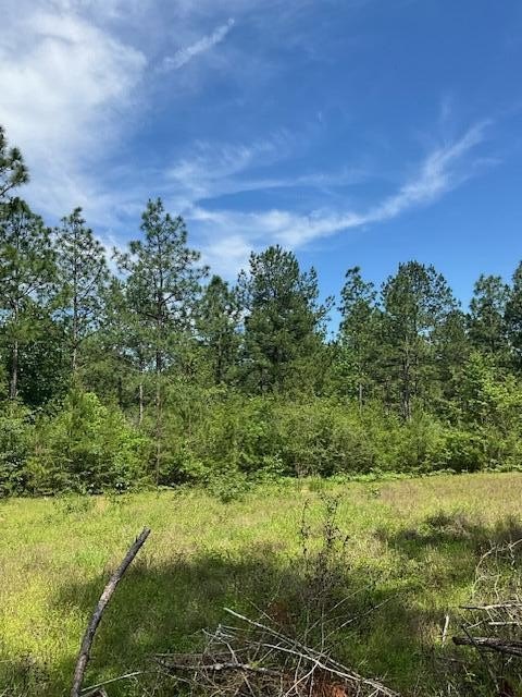 Lumberton Land with Highway Frontage