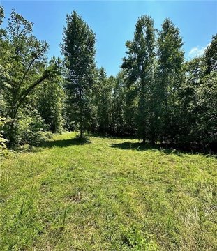 Cedartown Land with Creek