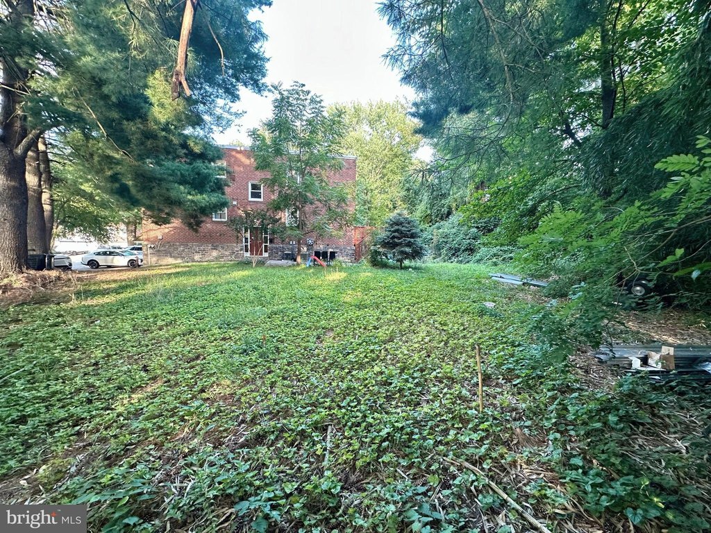 Picture 12